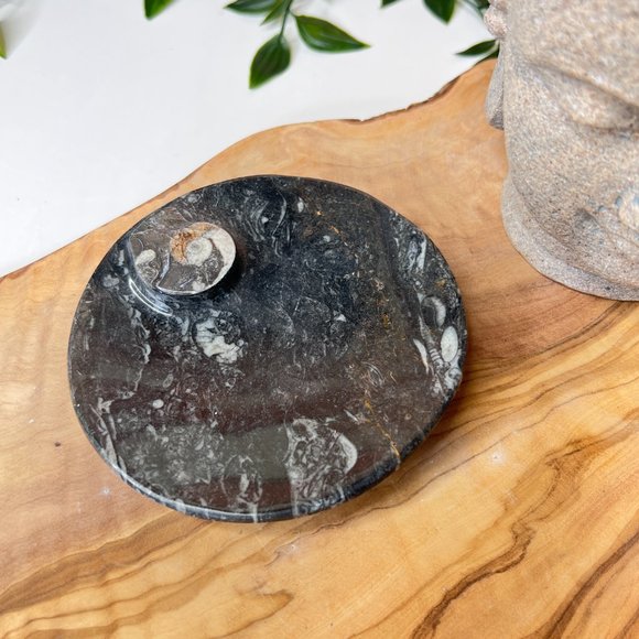 Genuine Orthoceras Fossil - Fossil Oval Ammonite Trinket dish from Morocco - Picture 11 of 11